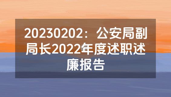 20230202：公安局副局长2022年度述职述廉报告