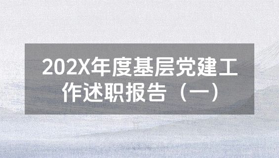 202X年度基层党建工作述职报告（一）