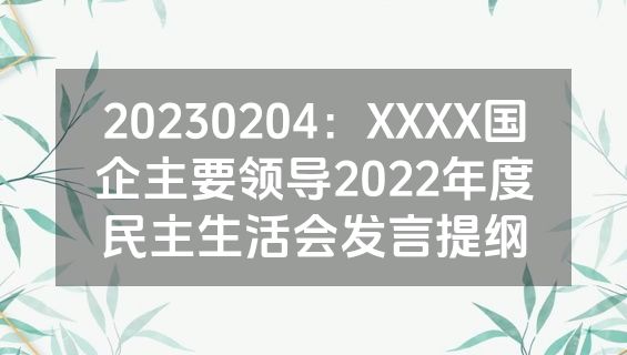 20230204：XXXX国企主要领导2022年度民主生活会发言提纲