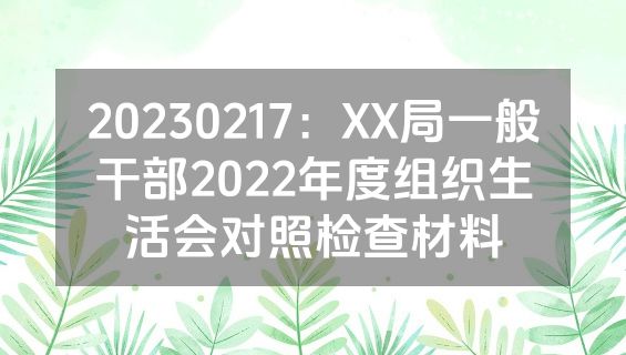 20230217：XX局一般干部2022年度组织生活会对照检查材料