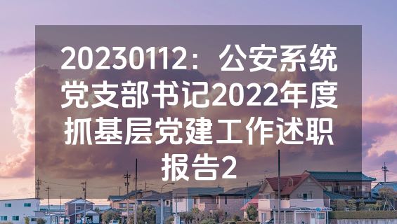 20230112：公安系统党支部书记2022年度抓基层党建工作述职报告2