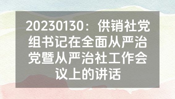 20230130：供销社党组书记在全面从严治党暨从严治社工作会议上的讲话