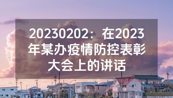 20230202：在2023年某办疫情防控表彰大会上的讲话