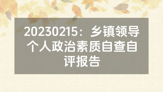 20230215：乡镇领导个人政治素质自查自评报告