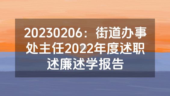 20230206：街道办事处主任2022年度述职述廉述学报告