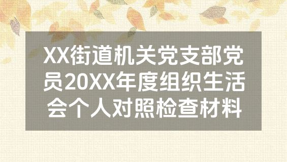 XX街道机关党支部党员20XX年度组织生活会个人对照检查材料