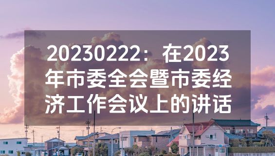 20230222：在2023年市委全会暨市委经济工作会议上的讲话