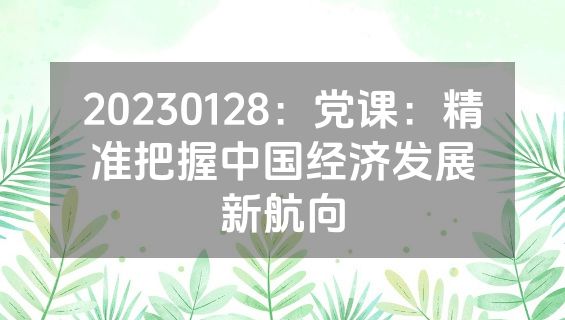 20230128：党课：精准把握中国经济发展新航向