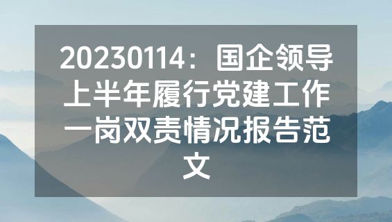 20230114：国企领导上半年履行党建工作一岗双责情况报告范文