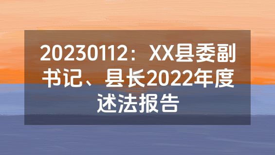 20230112：XX县委副书记、县长2022年度述法报告