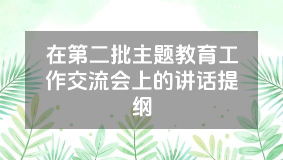 在第二批主题教育工作交流会上的讲话提纲