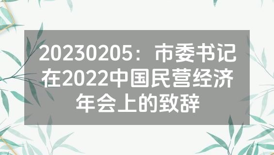 20230205：市委书记在2022中国民营经济年会上的致辞