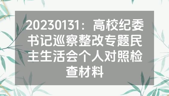 20230131：高校纪委书记巡察整改专题民主生活会个人对照检查材料