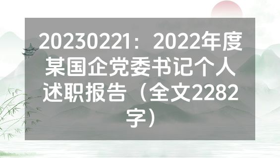 20230221：2022年度某国企党委书记个人述职报告（全文2282字）