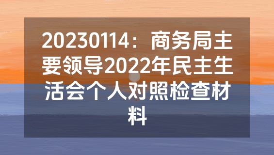 20230114：商务局主要领导2022年民主生活会个人对照检查材料