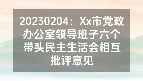 20230204：Xx市党政办公室领导班子六个带头民主生活会相互批评意见