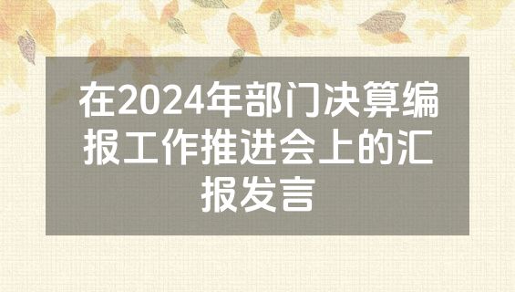 在2024年部门决算编报工作推进会上的汇报发言