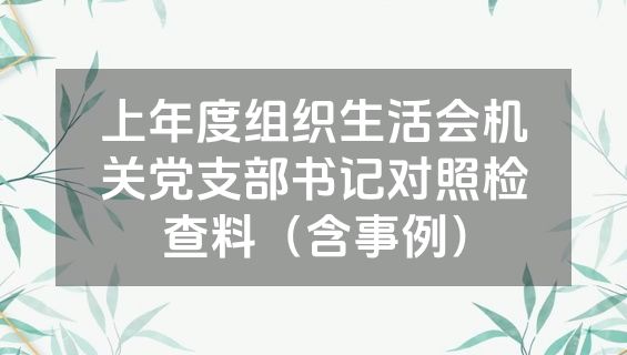 上年度组织生活会机关党支部书记对照检查料（含事例）