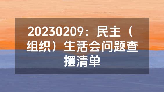 20230209：民主（ 组织）生活会问题查摆清单
