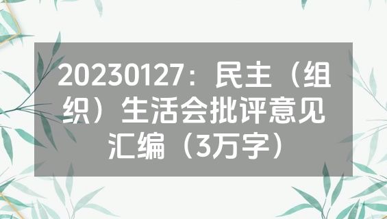 20230127：民主（组织）生活会批评意见汇编（3万字）
