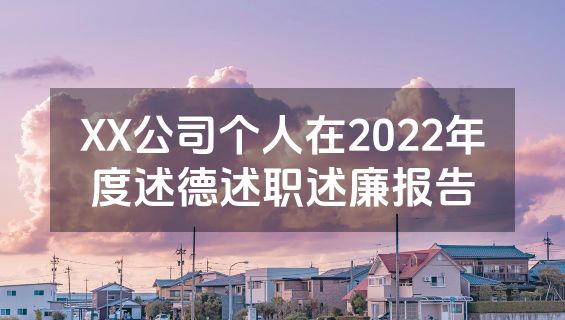 XX公司个人在2022年度述德述职述廉报告
