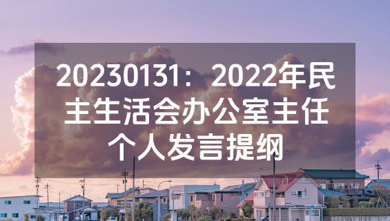 20230131：2022年民主生活会办公室主任个人发言提纲