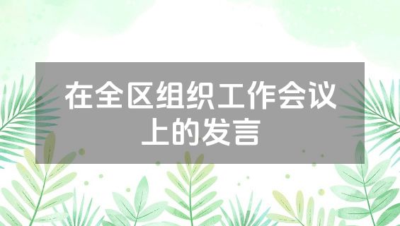 在全区组织工作会议上的发言