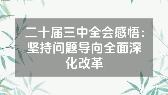 二十届三中全会感悟：坚持问题导向全面深化改革