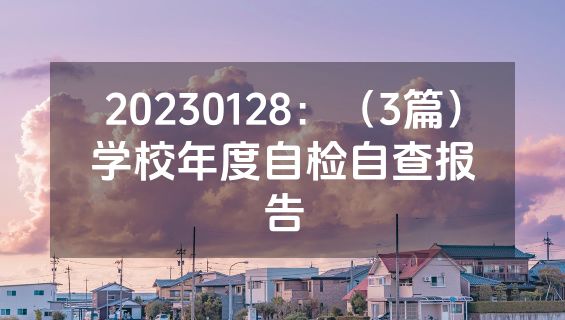 20230128：（3篇）学校年度自检自查报告