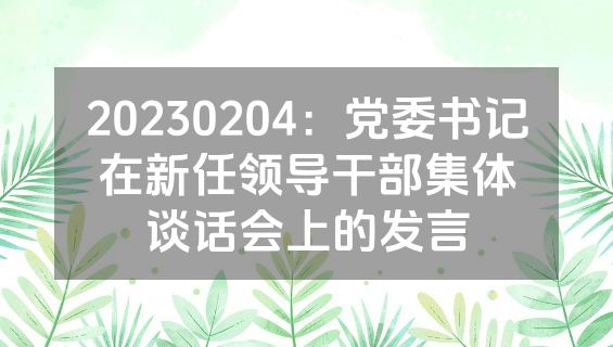 20230204：党委书记在新任领导干部集体谈话会上的发言