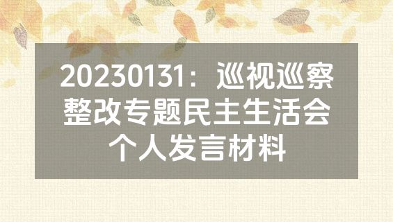 20230131：巡视巡察整改专题民主生活会个人发言材料