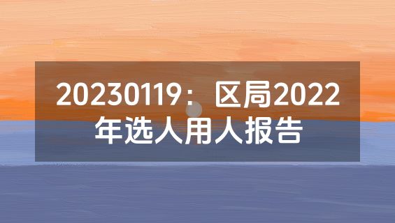 20230119：区局2022年选人用人报告