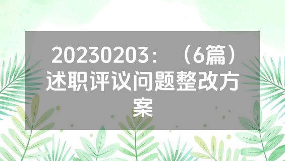 20230203：（6篇）述职评议问题整改方案