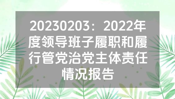 20230203：2022年度领导班子履职和履行管党治党主体责任情况报告