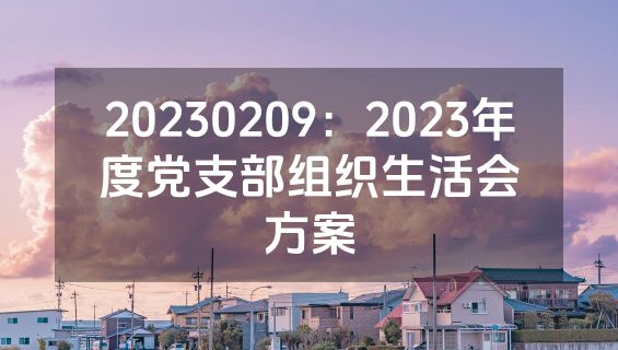 20230209：2023年度党支部组织生活会方案