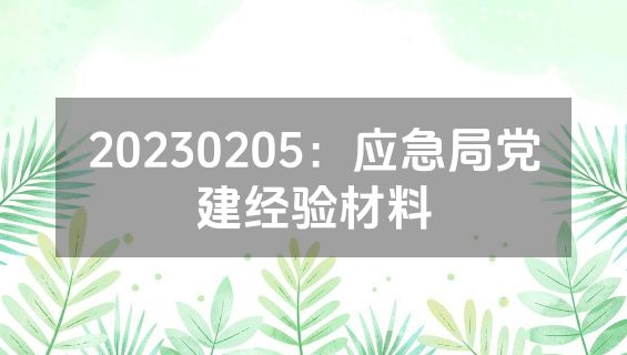 20230205：应急局党建经验材料