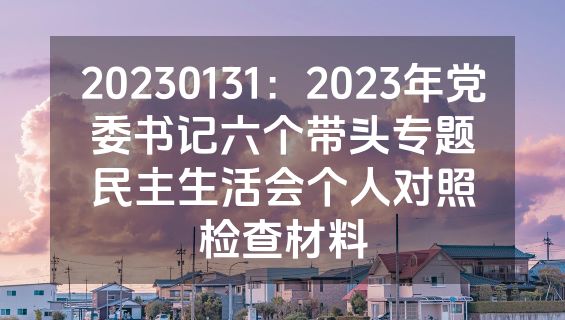 20230131：2023年党委书记六个带头专题民主生活会个人对照检查材料