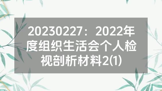 20230227：2022年度组织生活会个人检视剖析材料2(1)