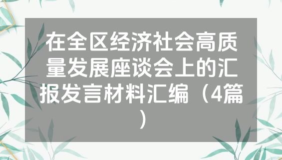 在全区经济社会高质量发展座谈会上的汇报发言材料汇编（4篇）