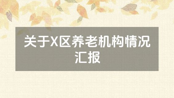 关于X区养老机构情况汇报