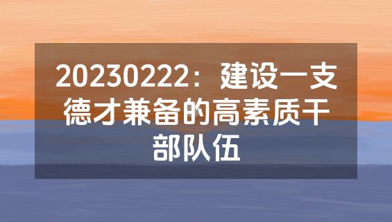 20230222：建设一支德才兼备的高素质干部队伍