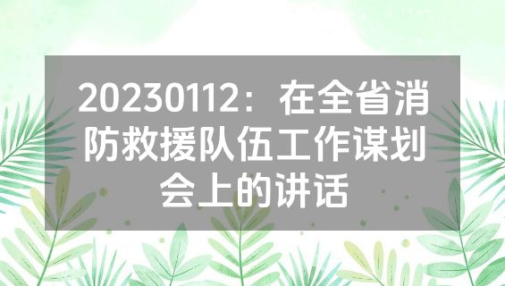 20230112：在全省消防救援队伍工作谋划会上的讲话