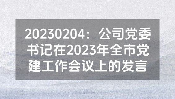 20230204：公司党委书记在2023年全市党建工作会议上的发言