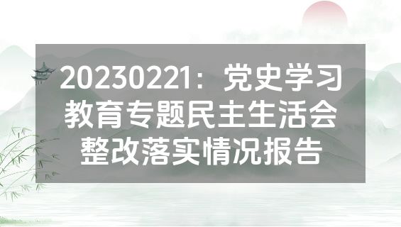 20230221：党史学习教育专题民主生活会整改落实情况报告