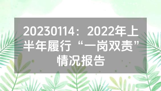 20230114：2022年上半年履行“一岗双责”情况报告