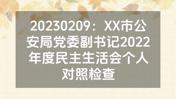 20230209：XX市公安局党委副书记2022年度民主生活会个人对照检查