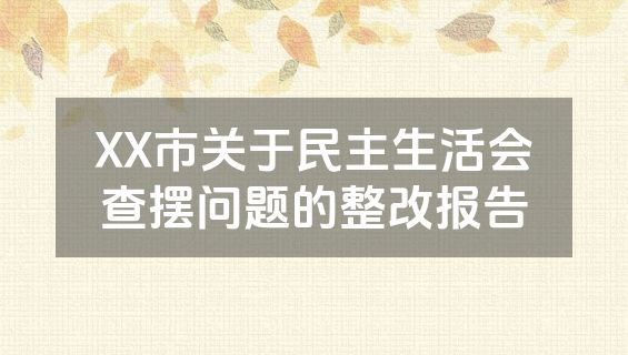 XX市关于民主生活会查摆问题的整改报告