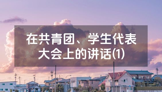 在共青团、学生代表大会上的讲话(1)