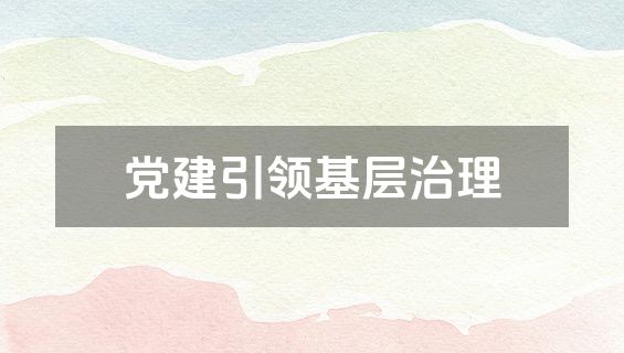 党建引领基层治理