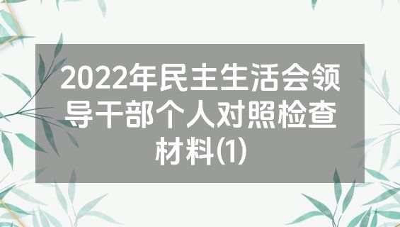 2022年民主生活会领导干部个人对照检查材料(1)